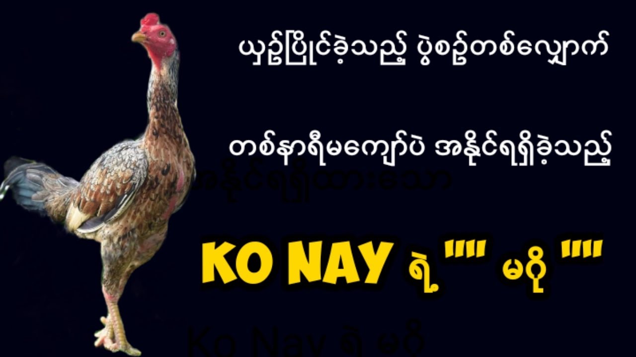 တစ်နာရီမကျော်သည့် စံချိန်တွေနှင့် ကိုနေ၏ မဂိုကြီး