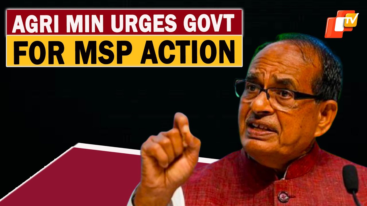 Centre Approves MSP Procurement Of Pulses, Urges States For Effective Implementation | OTV
