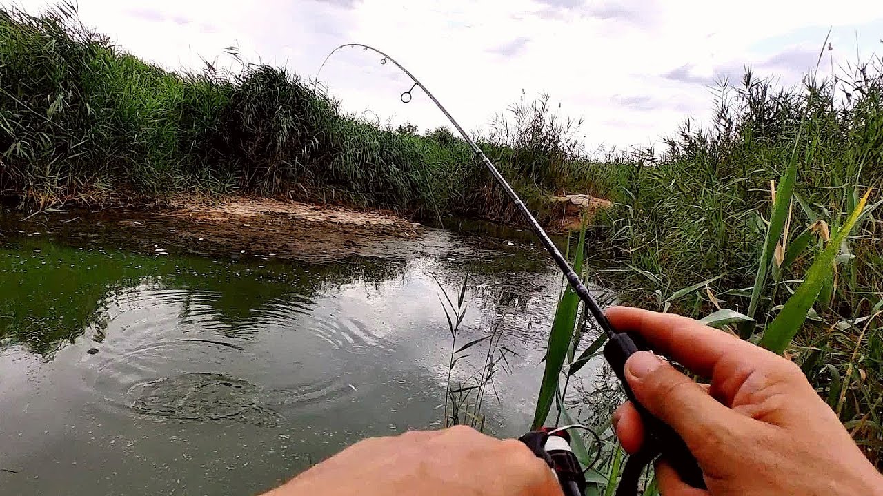 Мормышинг. Ловлю карася летом. Сделал всё что мог.