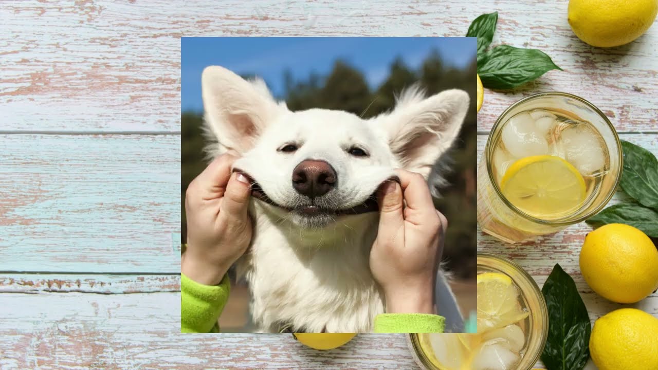 Get Your Lemonade