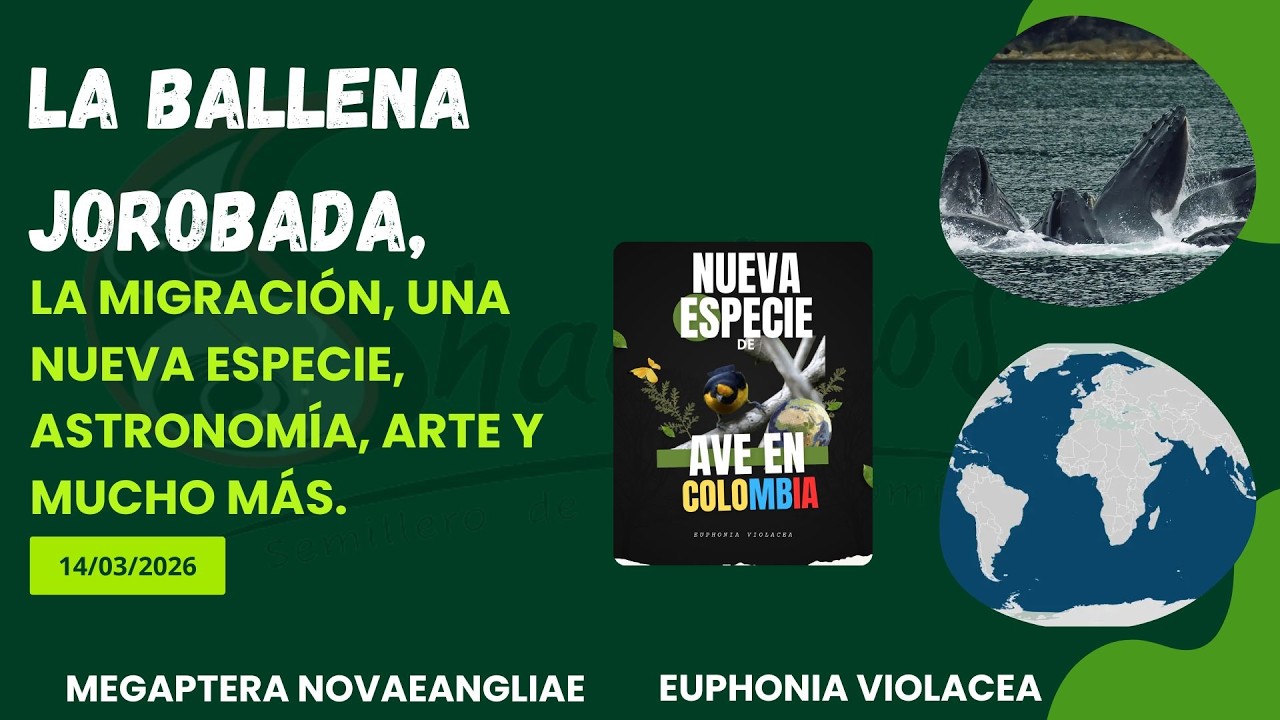 MARZO: Mes de los Viajeros sin pasaporte: BioAstronomía, Arte Numismática y más. #Shaulitos