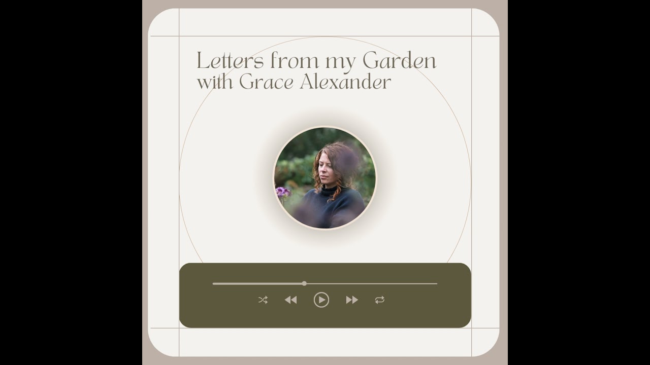 Surviving storms: A Letter from my Garden