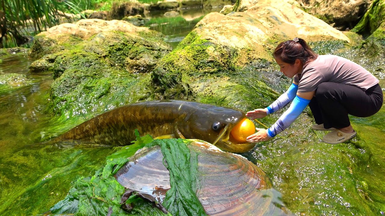 The girl searched for treasure and saw a fish with a big pearl in its mouth. It's over