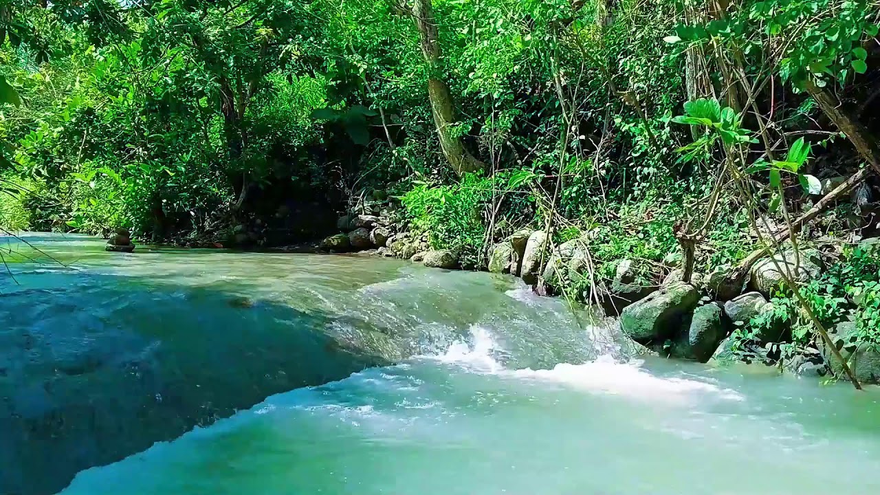 Green Valley Waterfall Gentle Flowing Water for Instant Calm