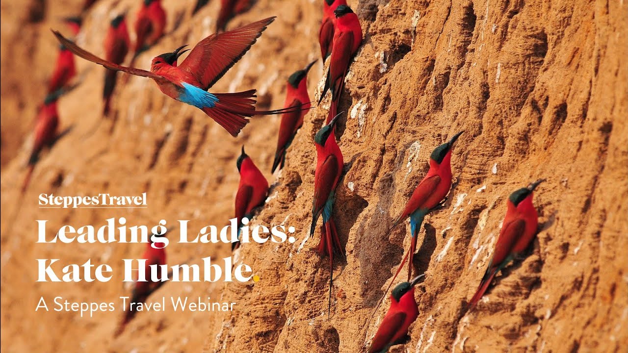 In Conversation with Kate Humble | Leading Ladies Webinars