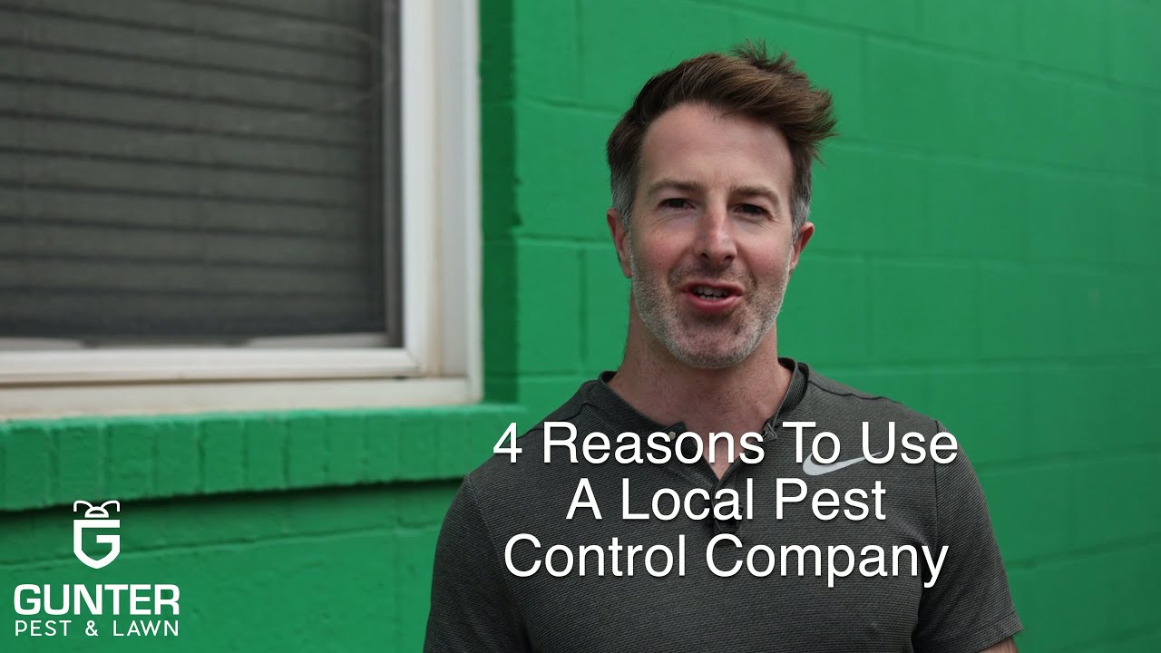 4 Reasons To Use a Local Pest Control Company