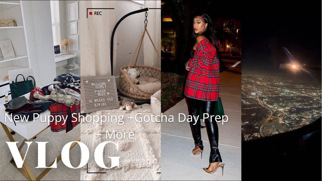 VLOG: New Puppy Shopping Petsmart/ Homegoods + Gotcha Day Preparation + Working Still !
