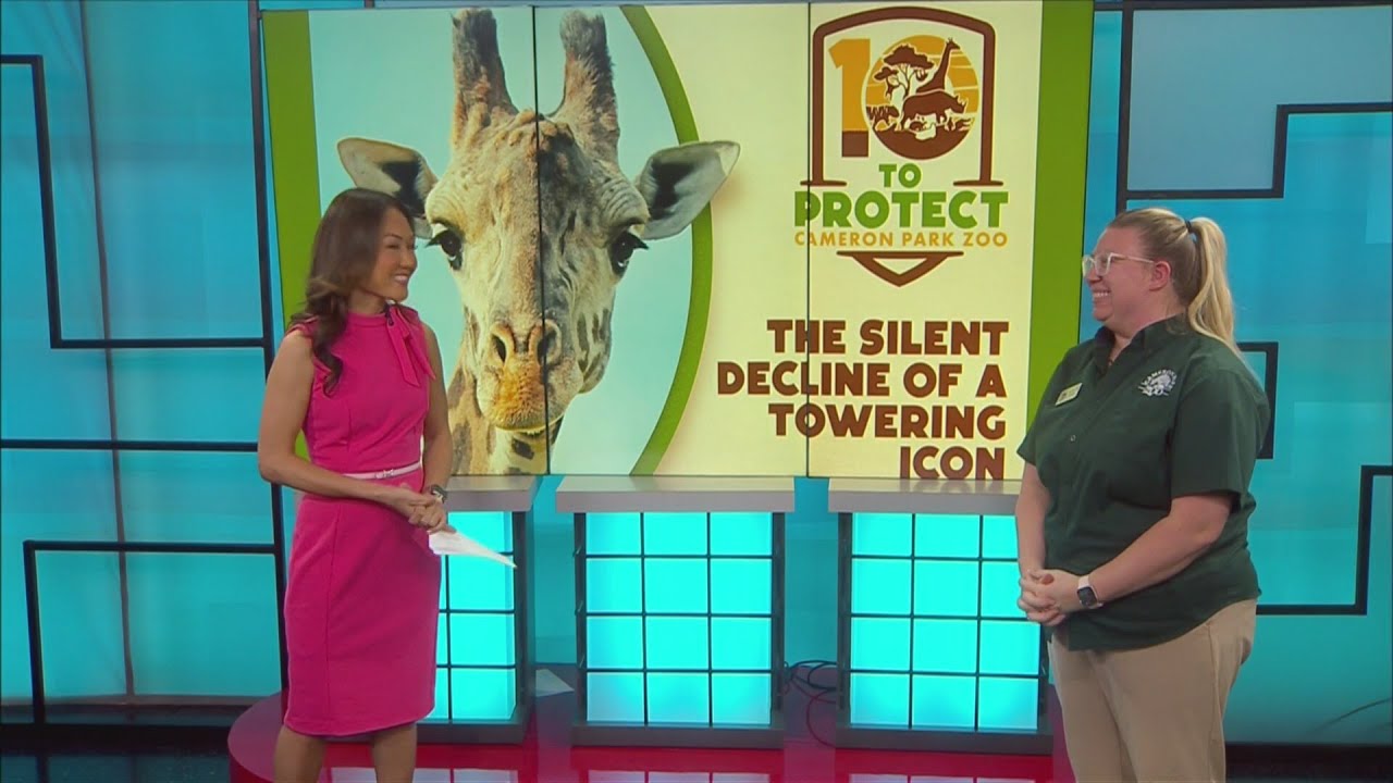 Help support the mission of safeguarding giraffes