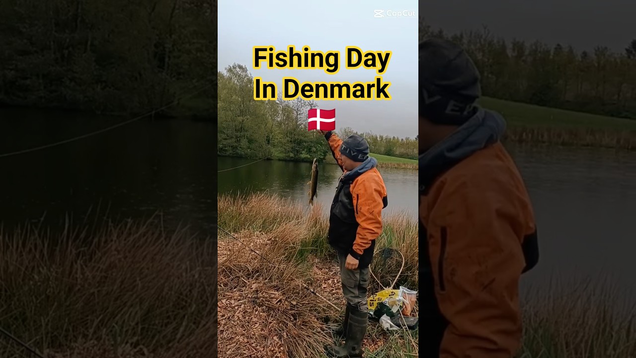 Fishing in Denmark #familytime #denmark #fishing #nature #