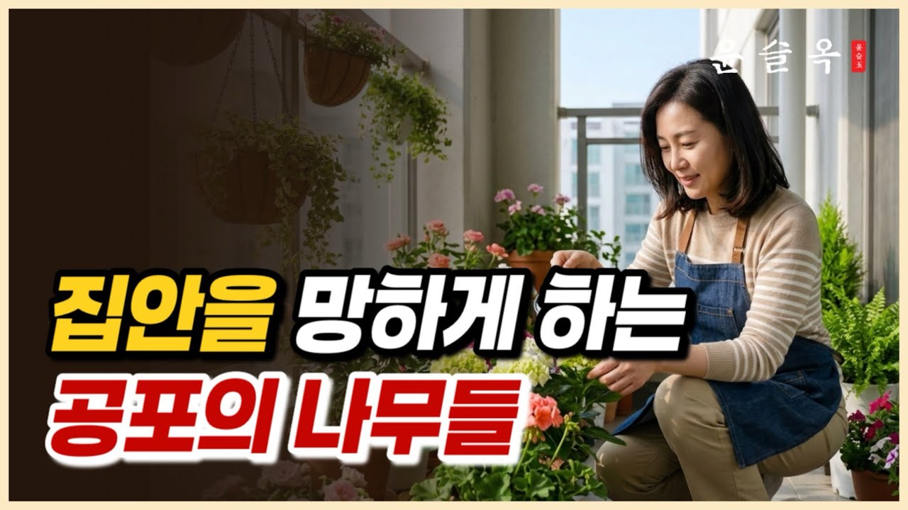 (식물 풍수) 집안에 절대 두면 안되는 나무들