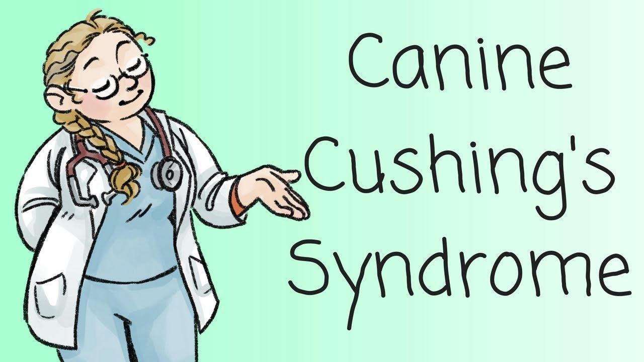 Dr Ferox on Cushing's Syndrome