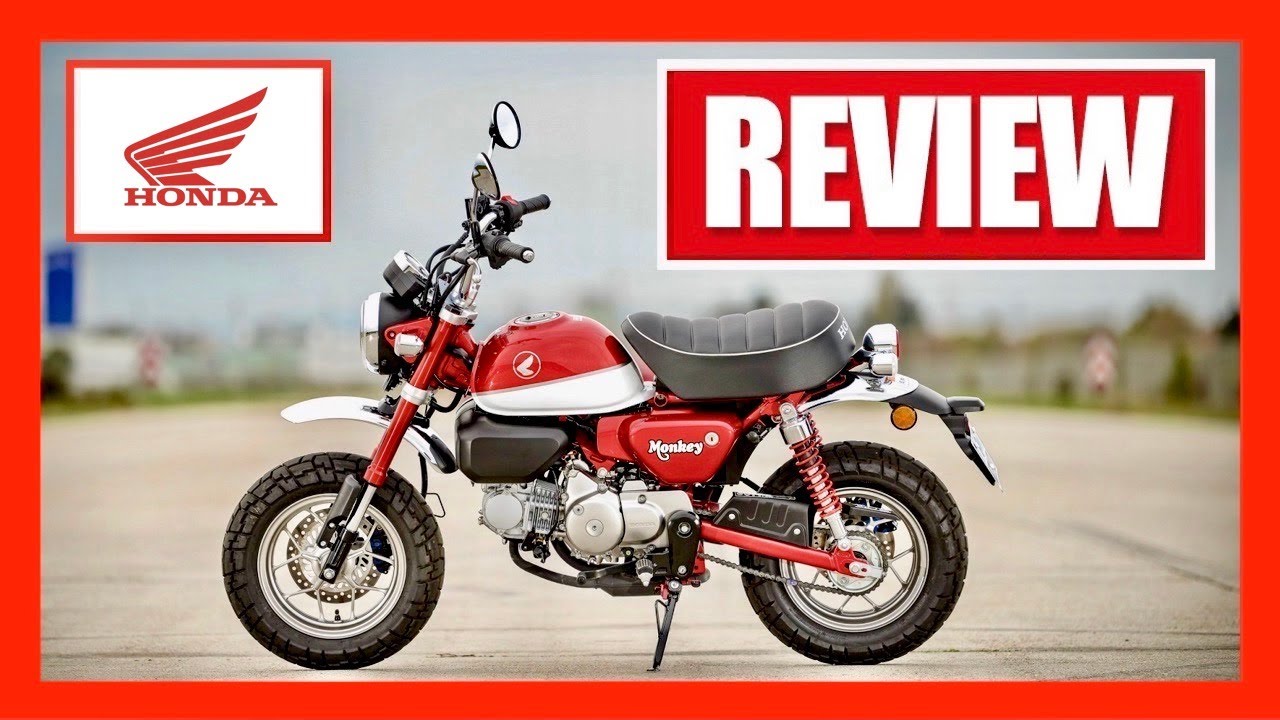 (2021) Honda Monkey &mdash; Motorcycle Review