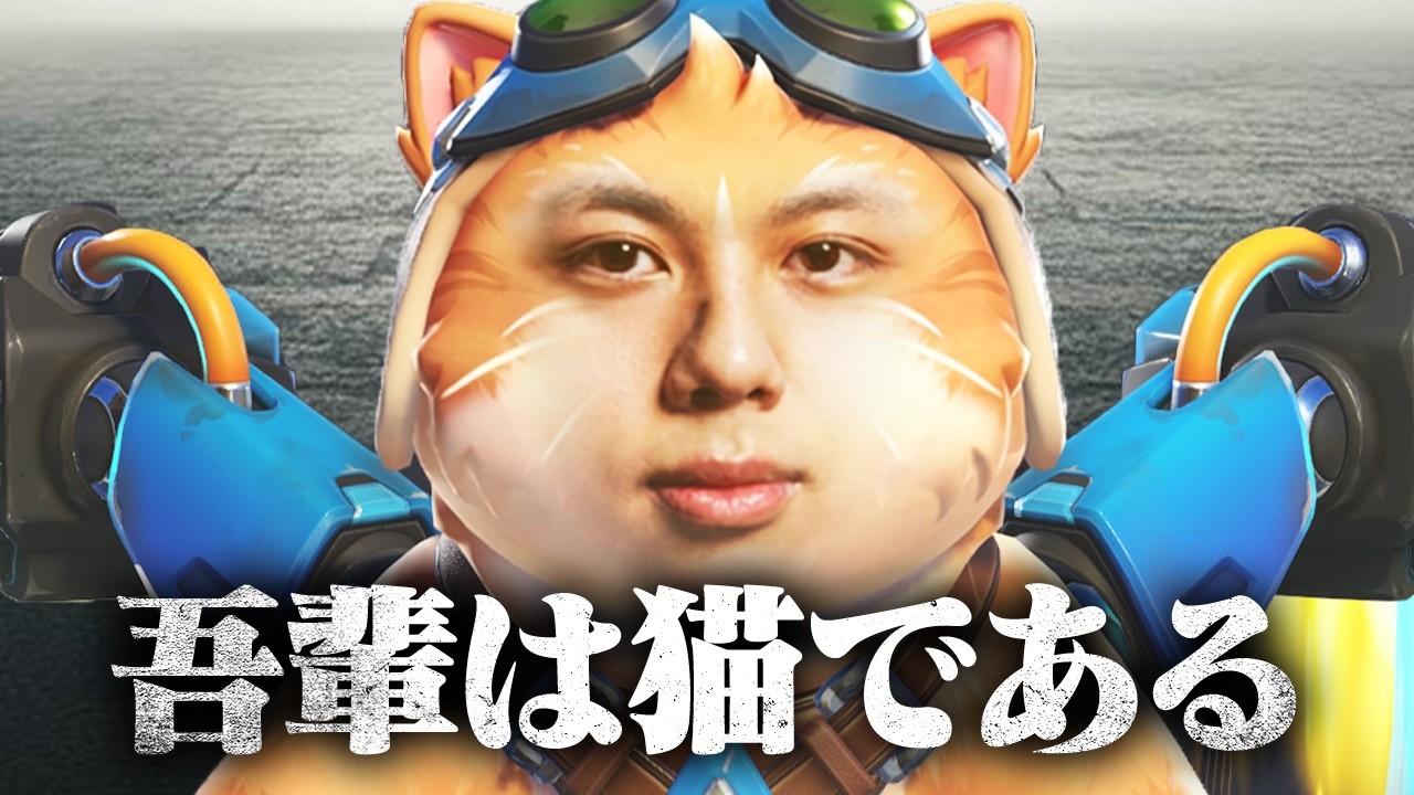 【FiNN、猫になる】これが現役OWプロのジェットパックキャットです。【Overwatch/オーバーウォッチ】