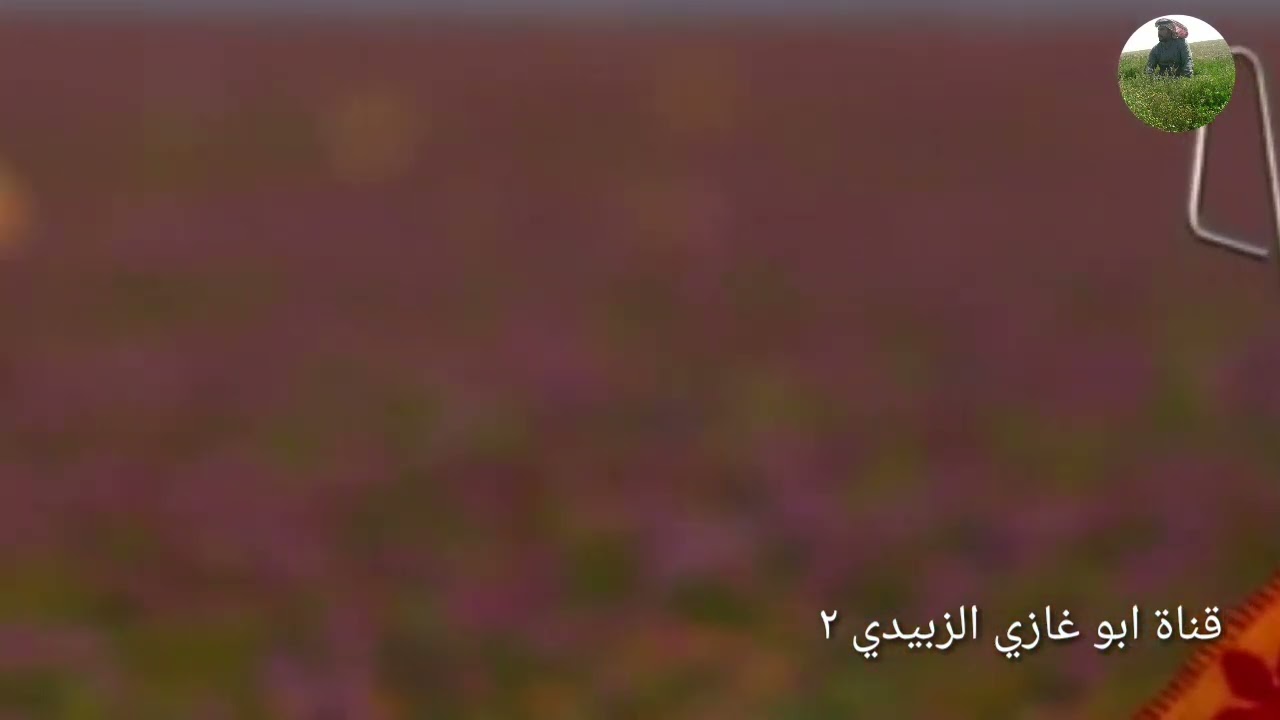 جرة ربابه/ ياناس راع المحبه لاتعذلونه/ أداء العازف مشعان مجول( يرحمه الله) @abygazyalzbydy
