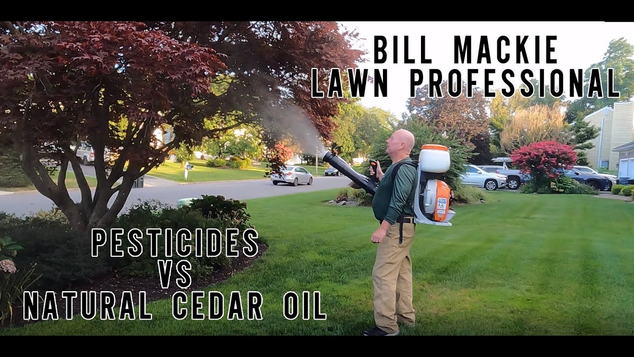 How To Kill Fleas, Ticks and Mosquitos Safely with Natural Cedar Oil