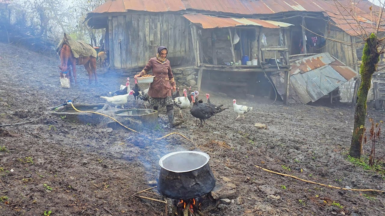 Autumn in Lafour Village (Part Two) | Harvesting Wild Persimmons & Baking Kalva Bread in the Forest