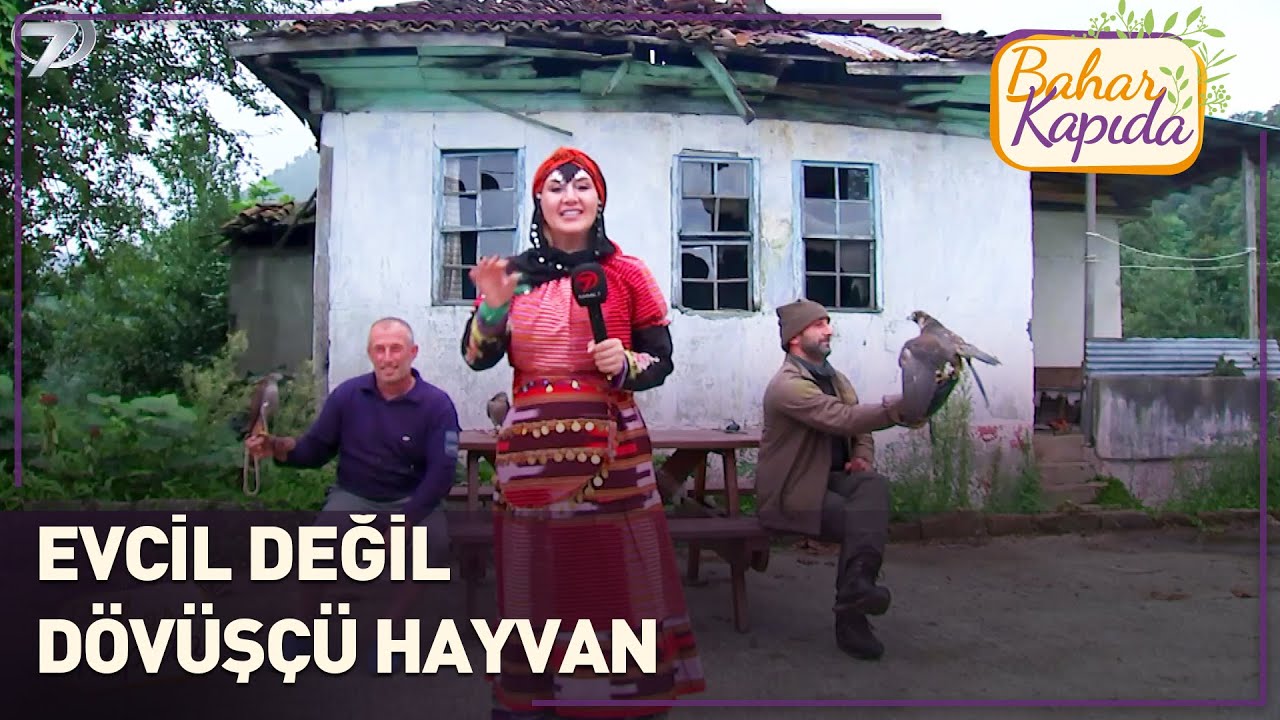Atmaca Beslemek Ne Demek Abi? | Bahar Kapıda | Rize