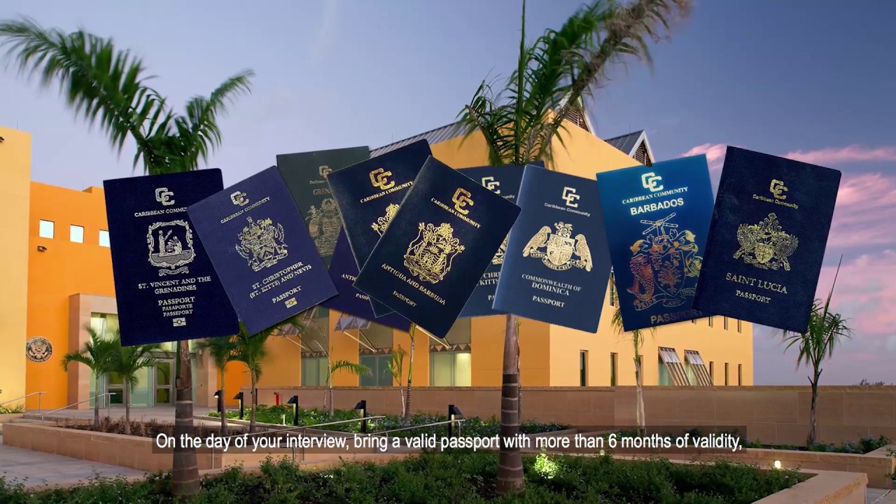 Non-Immigrant Visa Application Process