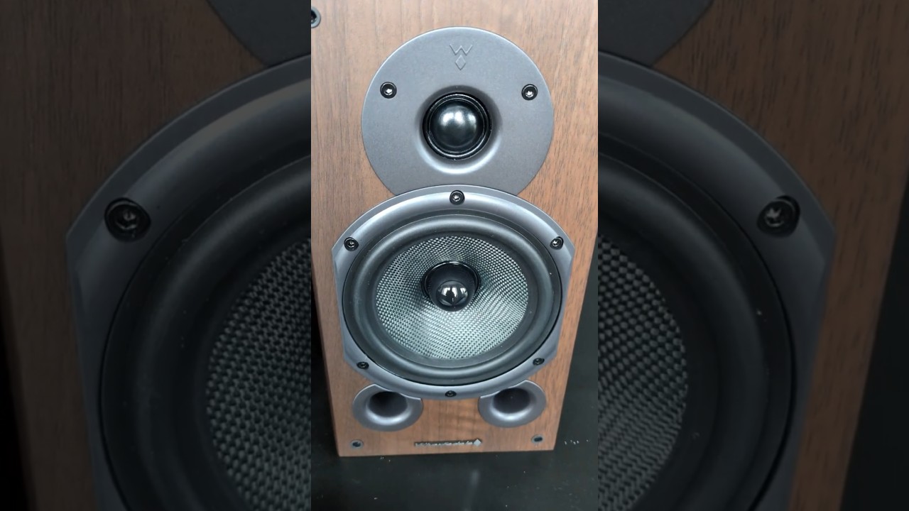 2025 Wharfedale Diamond 9.1 Unboxing  #utilitariantv #wharfedalediamond #unboxing