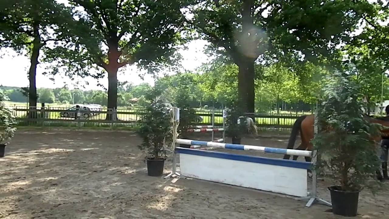 Springwedstrijd Stal Eikelboom Sanne en Satino