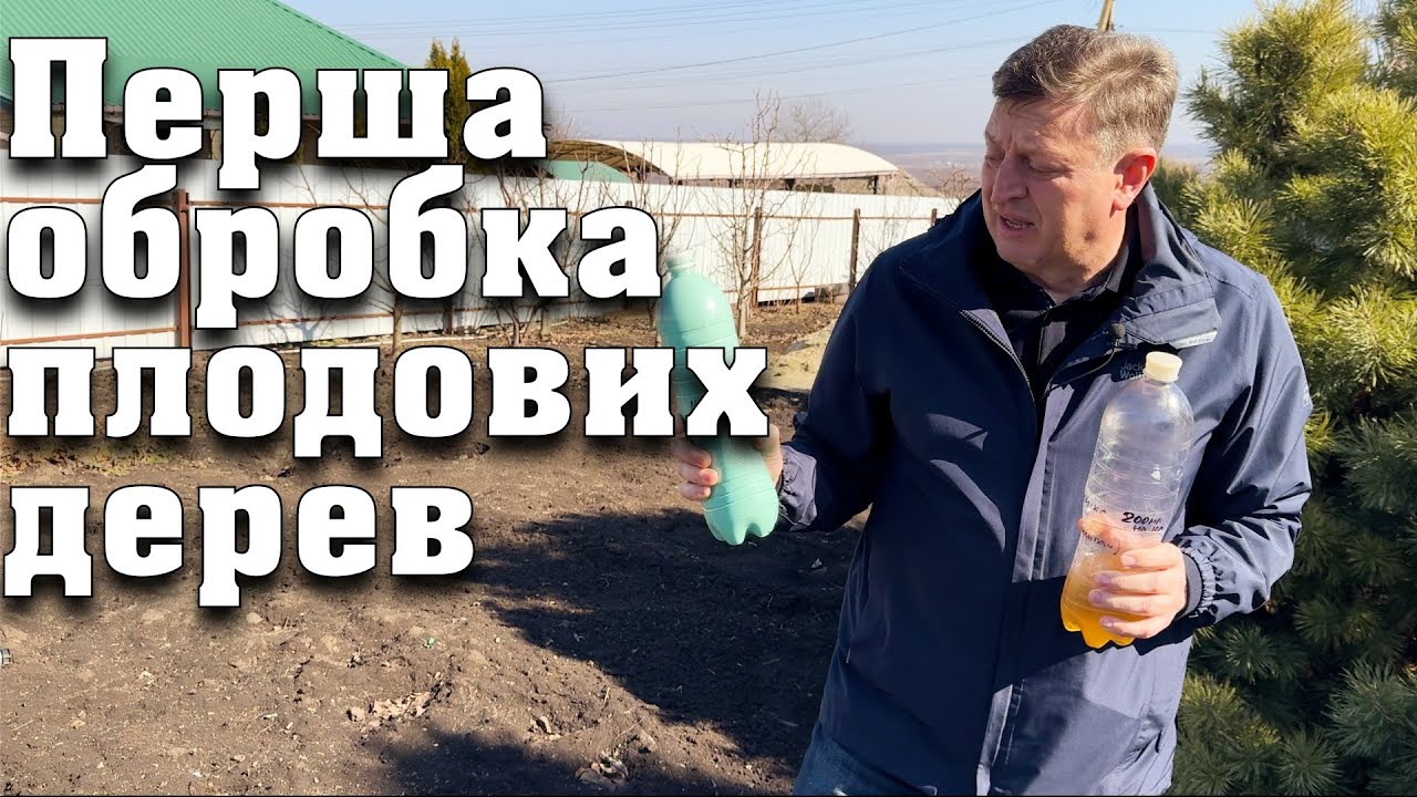 Перша обробка плодових дерев. Встигніть зробити цю обробку до розпускання бруньок