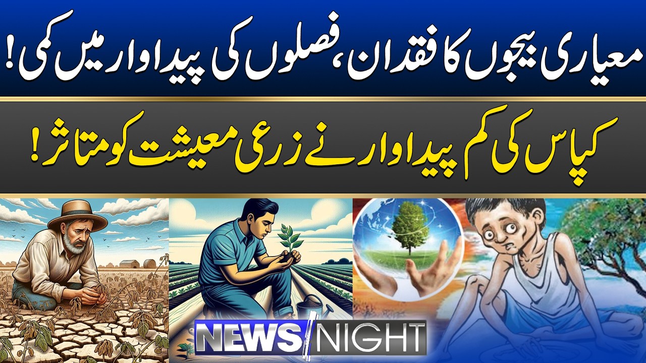 Low cotton production has affected the agricultural economy | News Night | 04 March 2026 | City 41