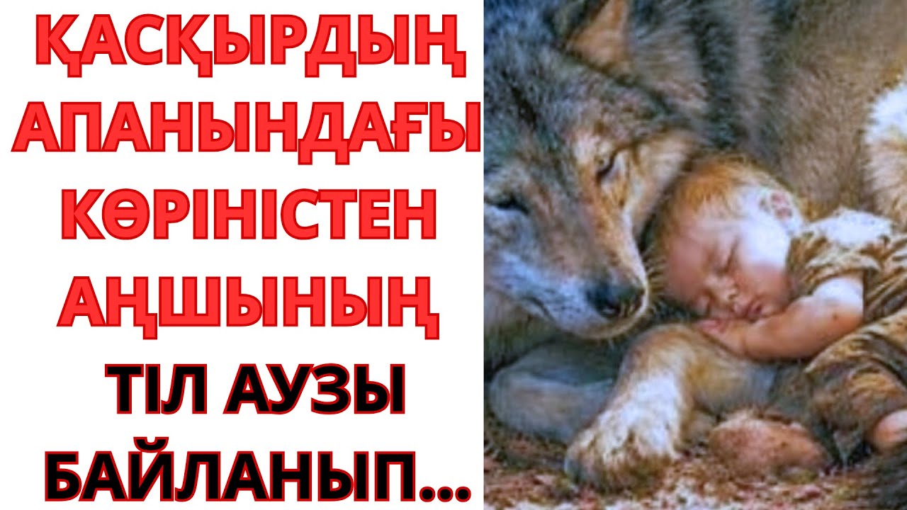 ҚАСҚЫРДЫҢ АПАНЫНДАҒЫ КӨРІНІСТЕН АҢШЫНЫҢ ТІЛ АУЗЫ БАЙЛАНЫП…Әсерлі әңгімелер