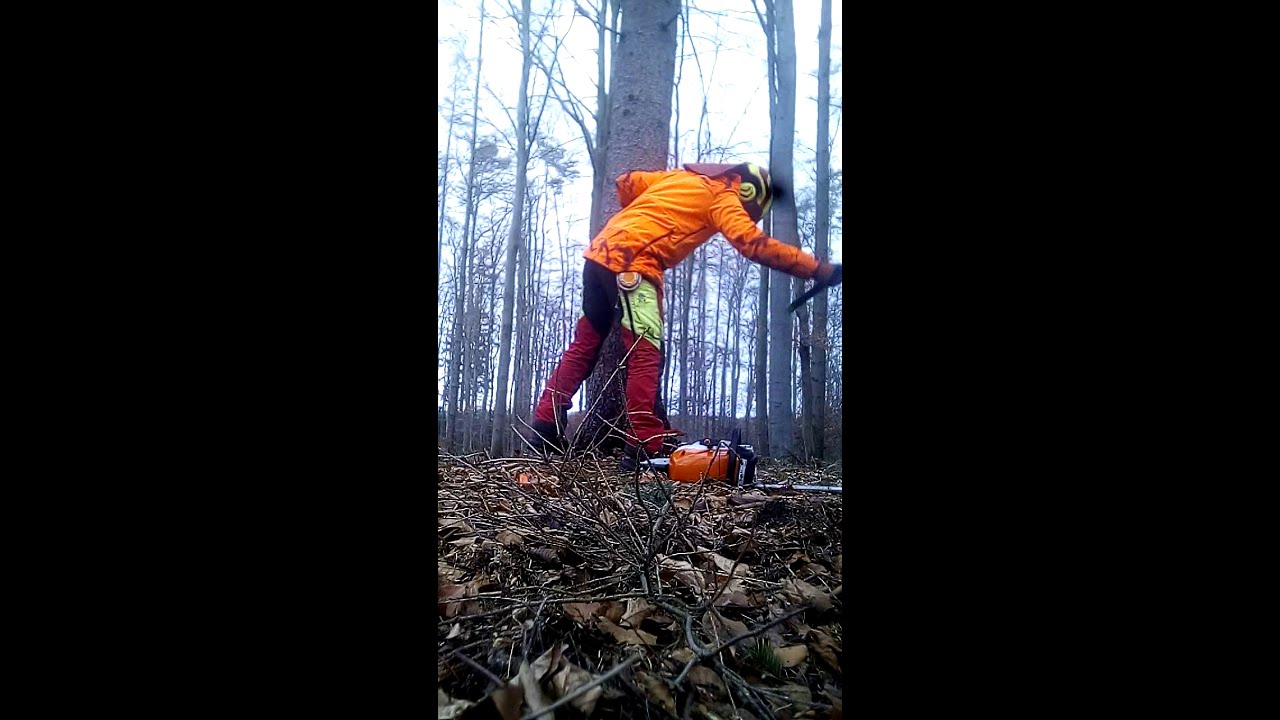 stihl MS 462 první den.