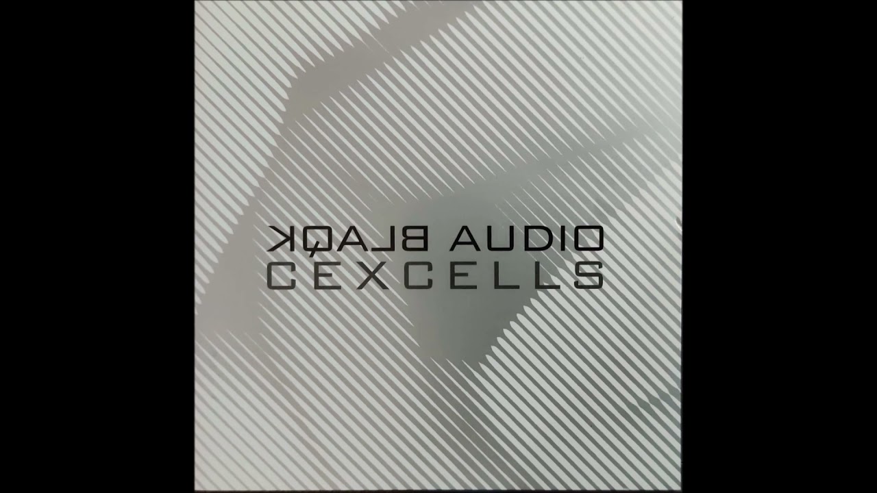 Blaqk Audio - Girls and Boys