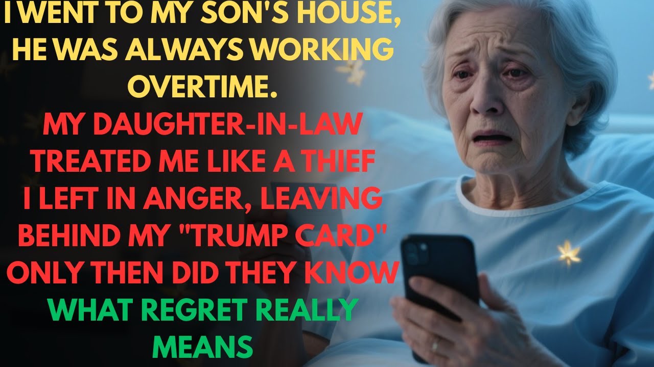 My Son Was Never Home, His Wife Treated Me Like A Thief—I Left, And My “Final Card” Made Them Regret