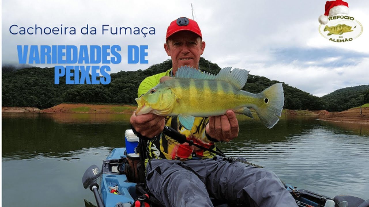 PESCARIA REPRESA CACHOEIRA DA FUMAÇA | VARIEDADES DE PEIXES | TEVE TRAÍRA, TUCUNARÉ AZUL E AMARELO !