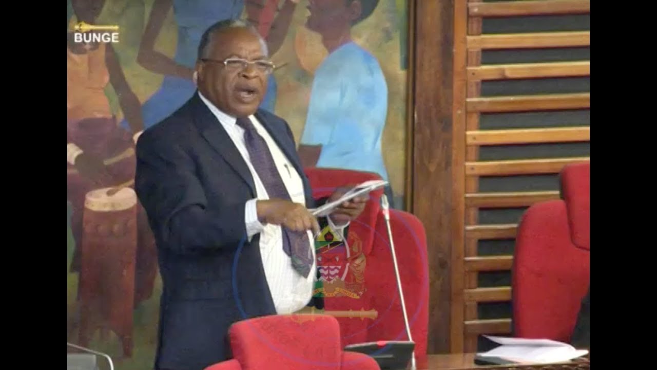 Kauli ya Prof. Maghembe kuhusu tatizo la mikopo ya wanafunzi 