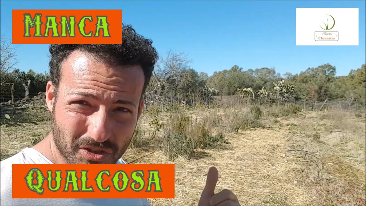 Il Più Grosso Problema dell'Orto Naturale