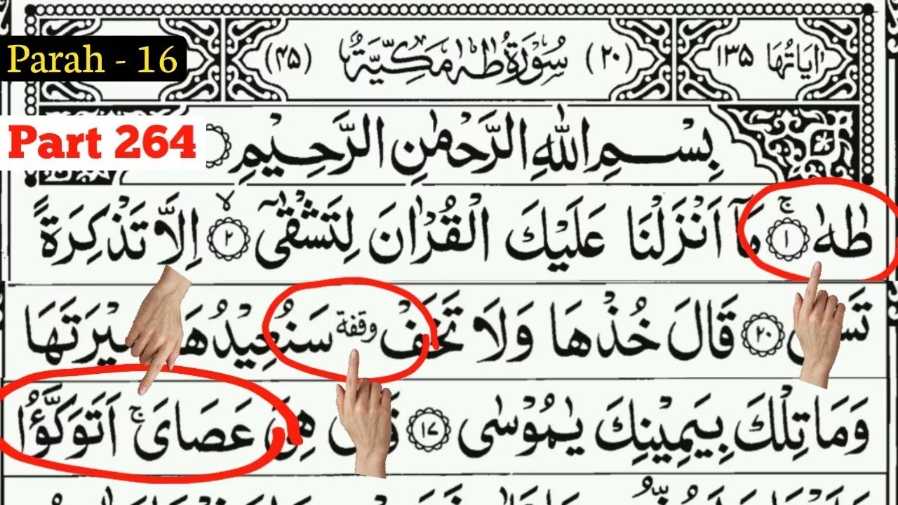 Learn To Read The Quran | कुरआन पढ़ना सीखें | Part 264 | Surah Taha  | Para 16