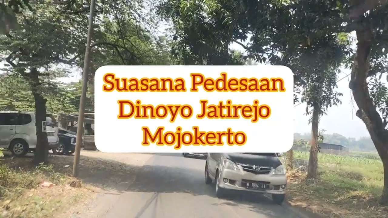 Suasana Pedesaan Dinoyo Jatirejo Mojokerto