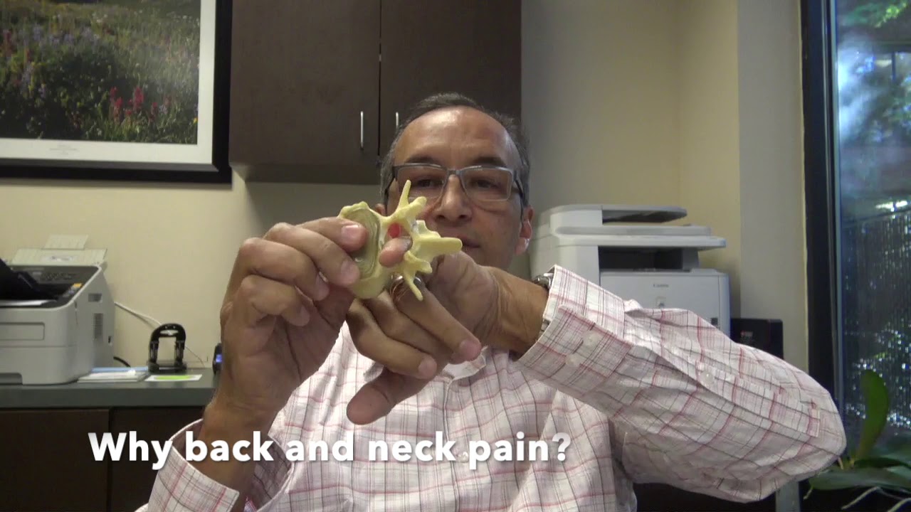 Why back and neck pain?   HD 720p