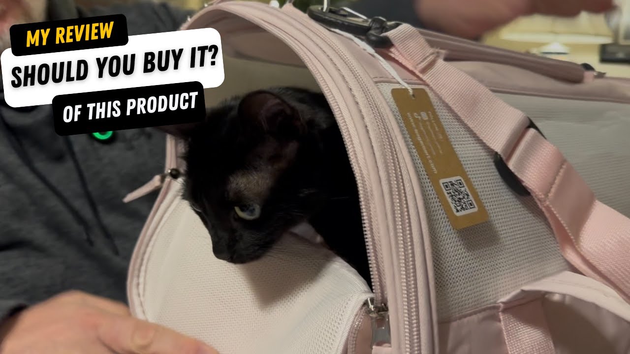 BAGSMART Cat Carrier: Overview| Is It Worth it? #ad #amazoninfluencer