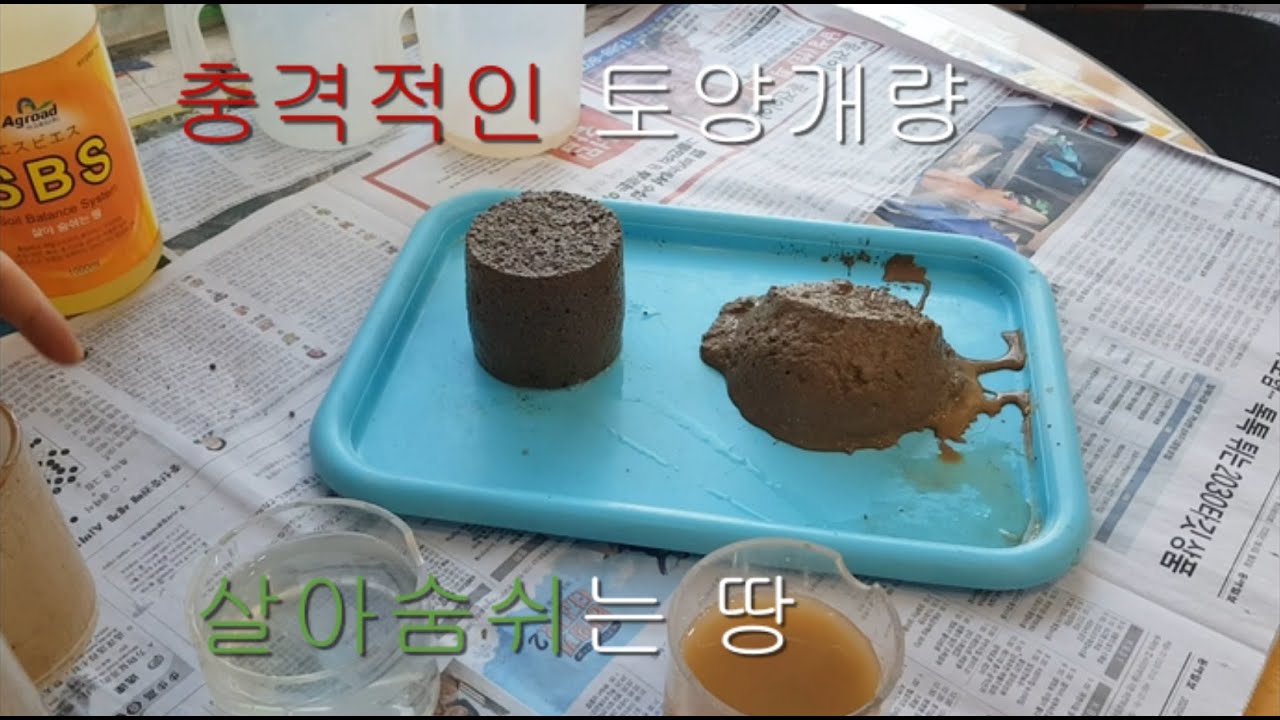 충격적인 토양개량으로 살아숨쉬는 땅으로 만들다 시설재배및 과수 참외 포도등 꼭필요한 재품
