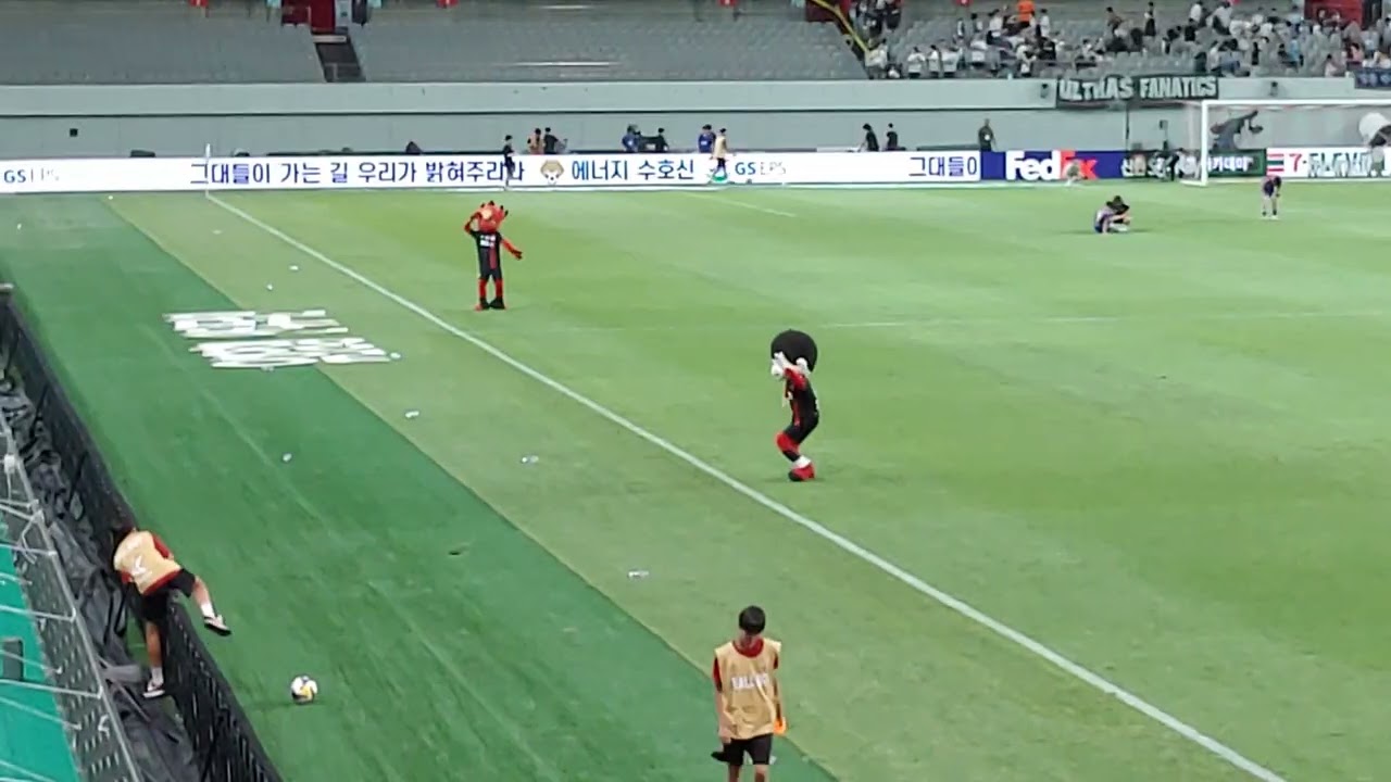 잘 가세요 (FC서울 vs 울산HD)