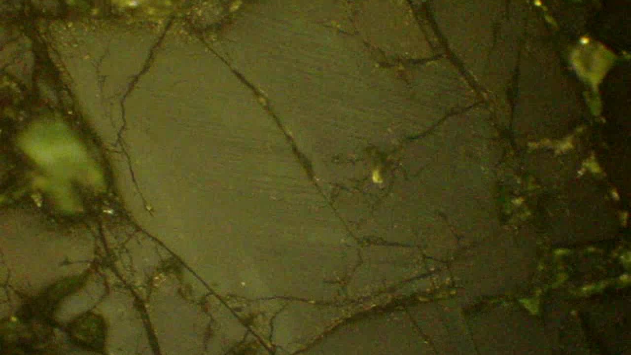 Arsenopirita com maclas lamelares - Luz Refletida