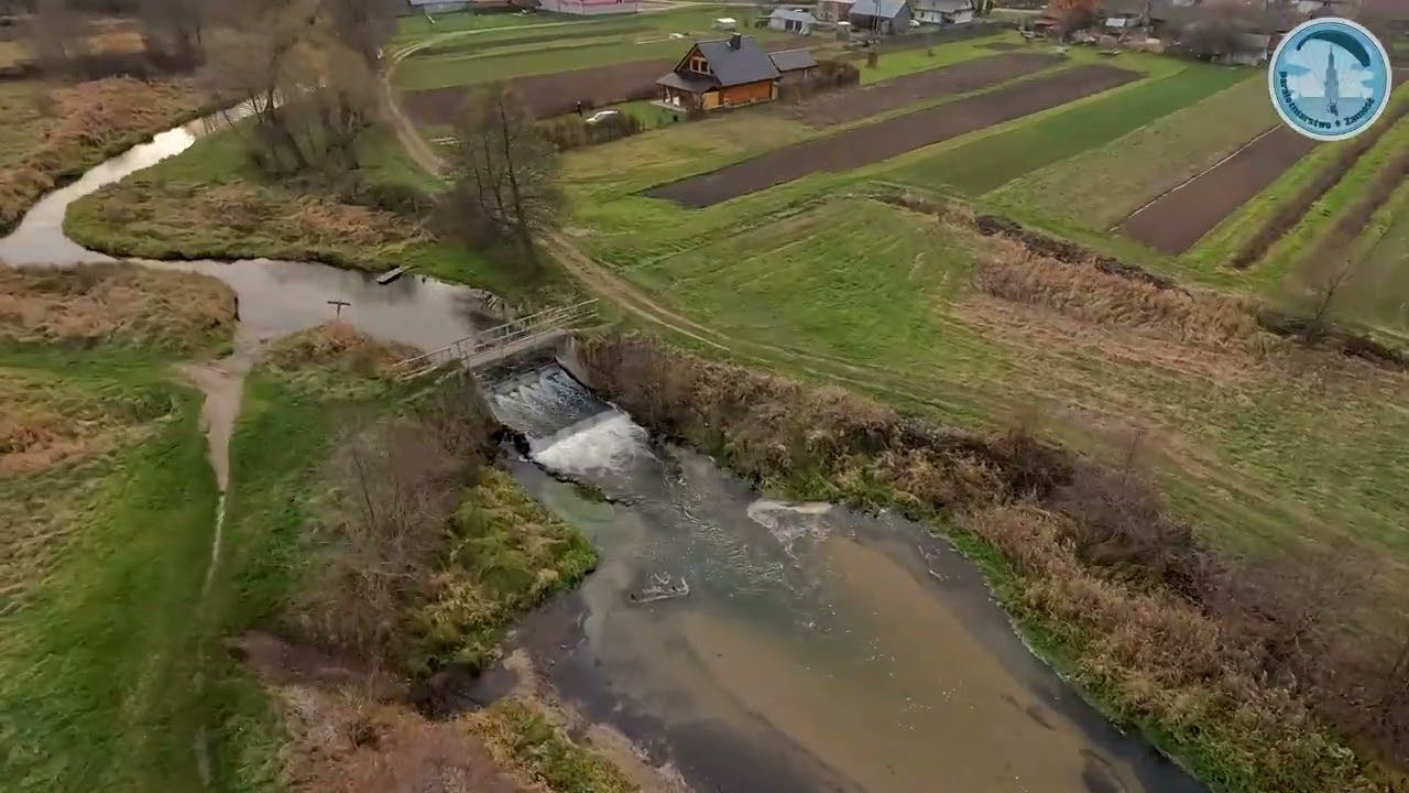 Podglądaliśmy dzikie stworzenia