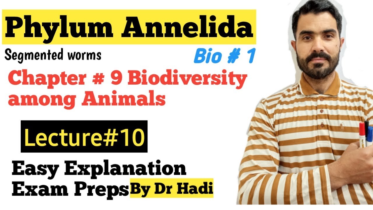 Phylum Annelida, the Segmented worms Easy preps for Examination with important points.