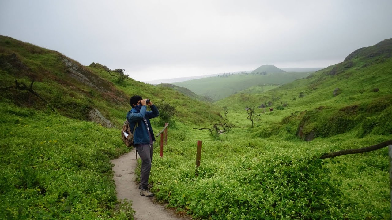 Observando aves en Lomas de Lachay - Lima (Perú)
