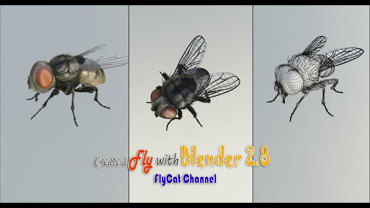 Create a  Fly in Blender
