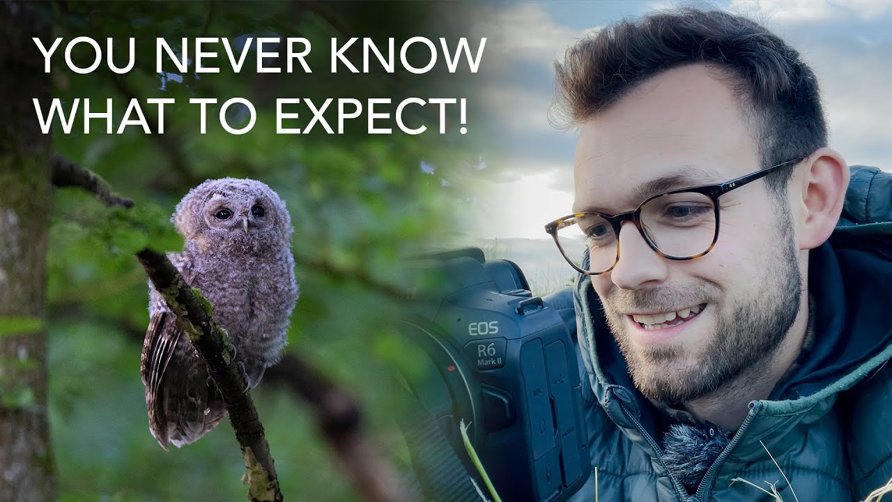 Searching for Wildlife in the British Countryside | Week Long Adventure in Oxfordshire