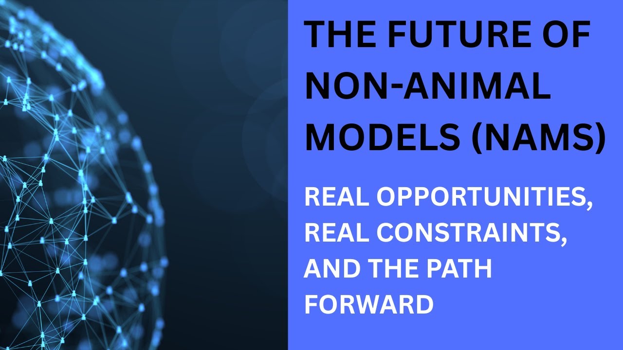 The Hard Truth About NAMs, Organoids, and In Silico Models in Drug Development