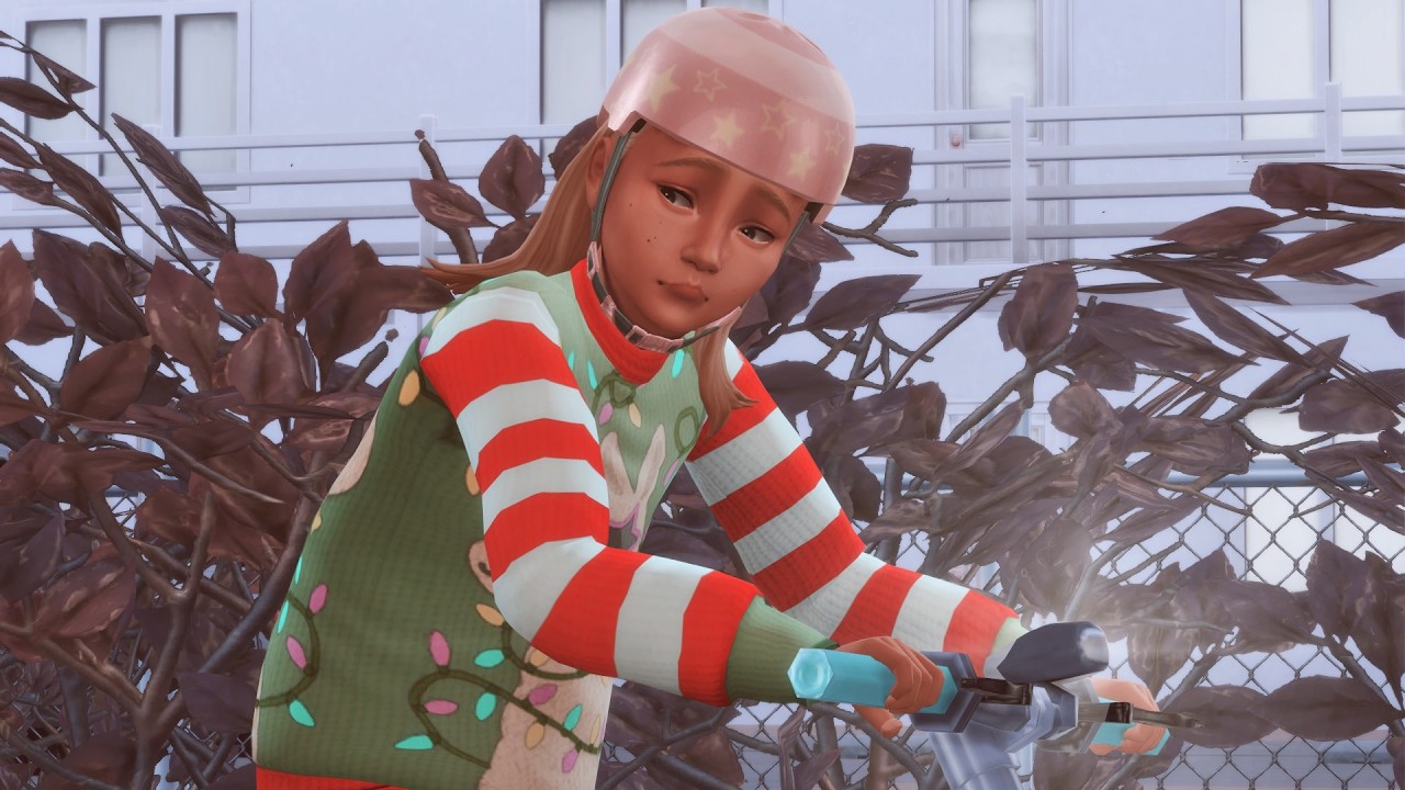 PERFECT LIFE 06 - NOËL