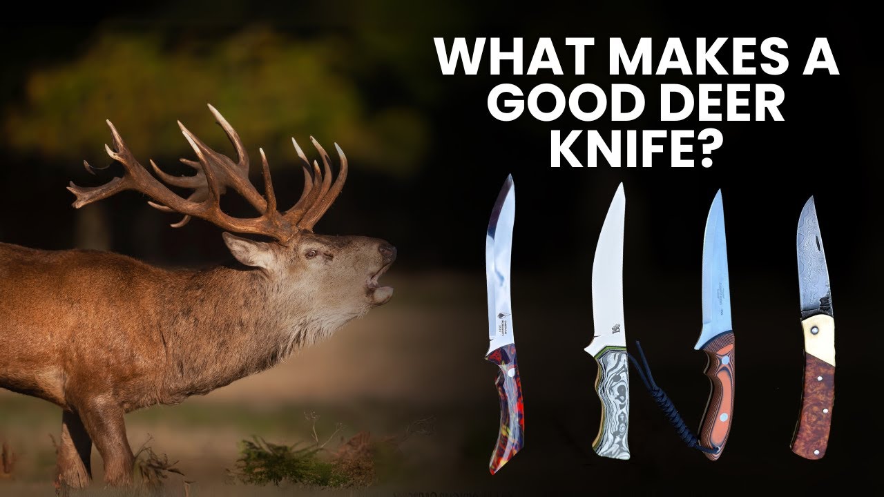 The PERFECT Knife for Deer Hunting