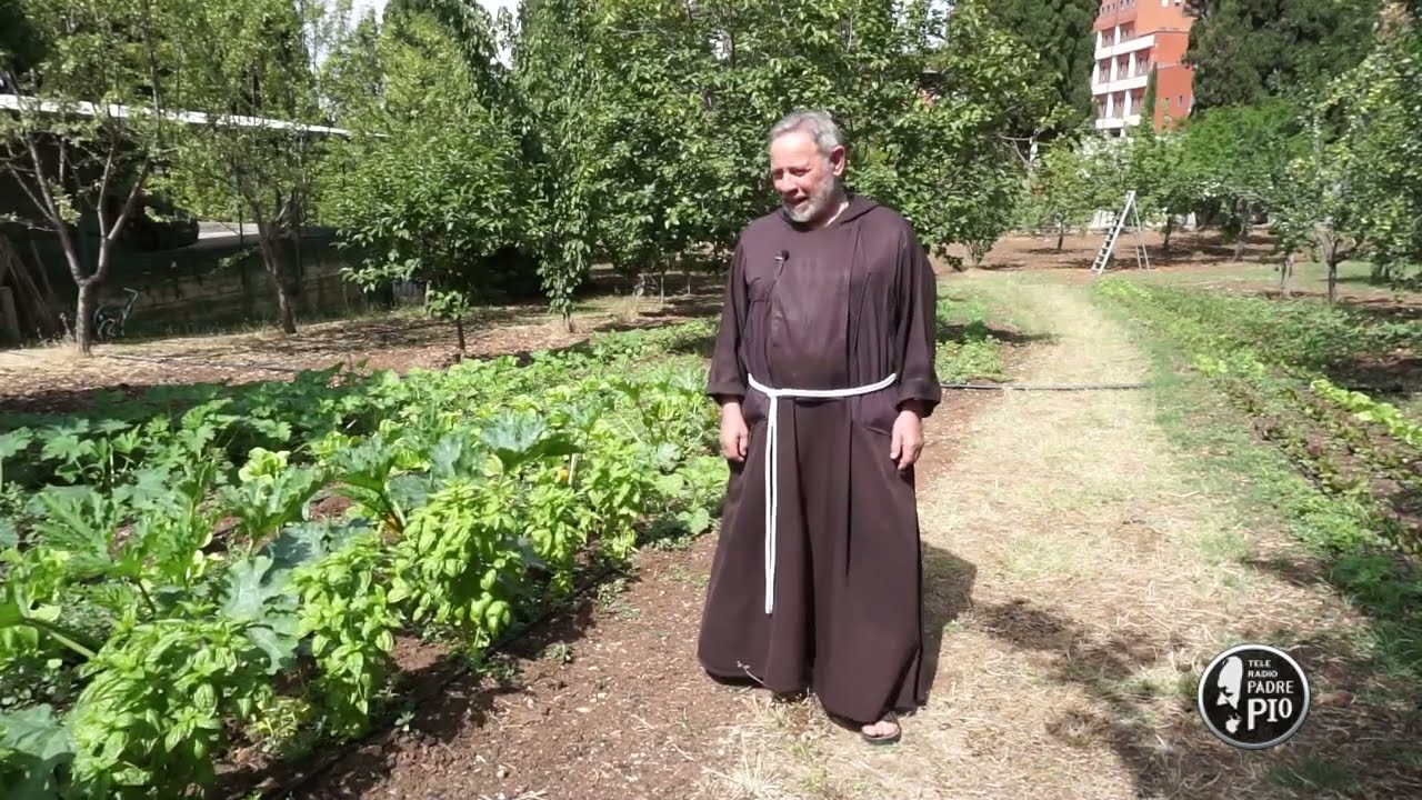 Il Basilico (Un giorno, un fiore 22 Gennaio 2022)
