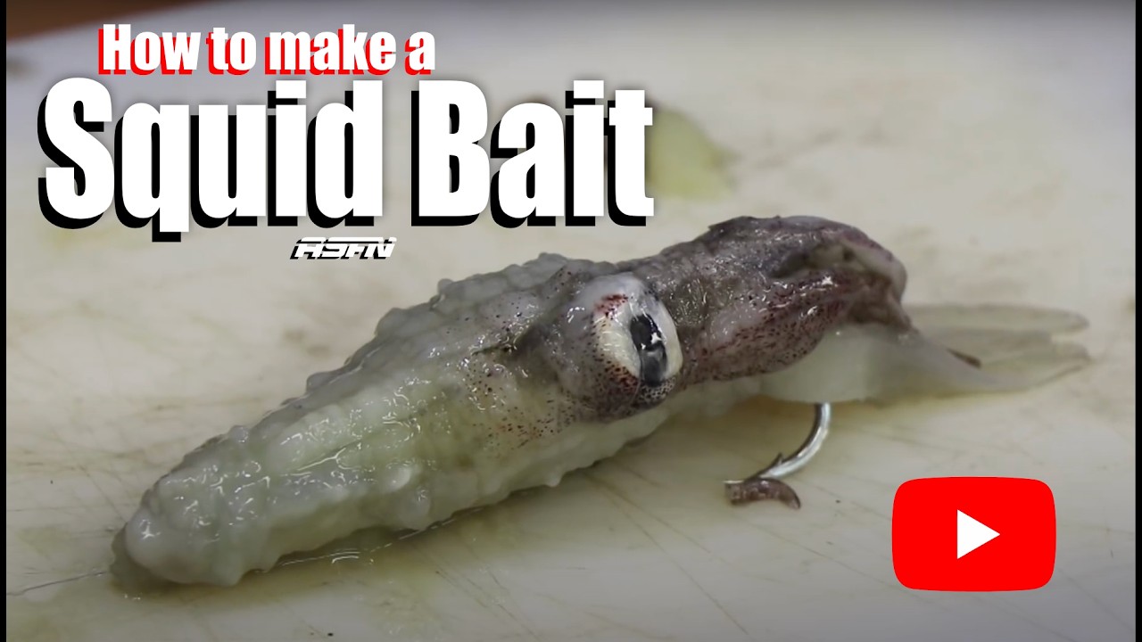 Deadly Squid Bait | ASFN Baits & Traces
